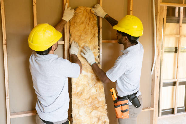 Garage Insulation Installation in Lagrange, GA