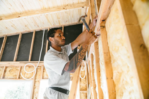 Best Cellulose Insulation  in Lagrange, GA