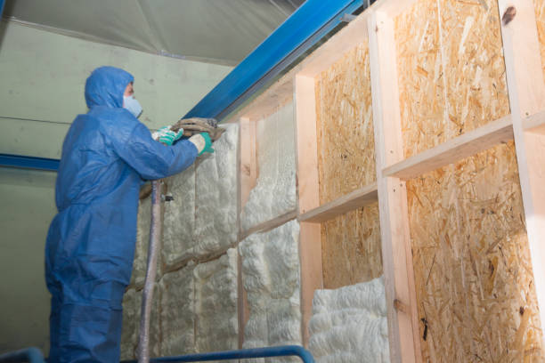 Best Home Insulation Services  in Lagrange, GA