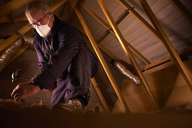 Best Garage Insulation Installation  in Lagrange, GA